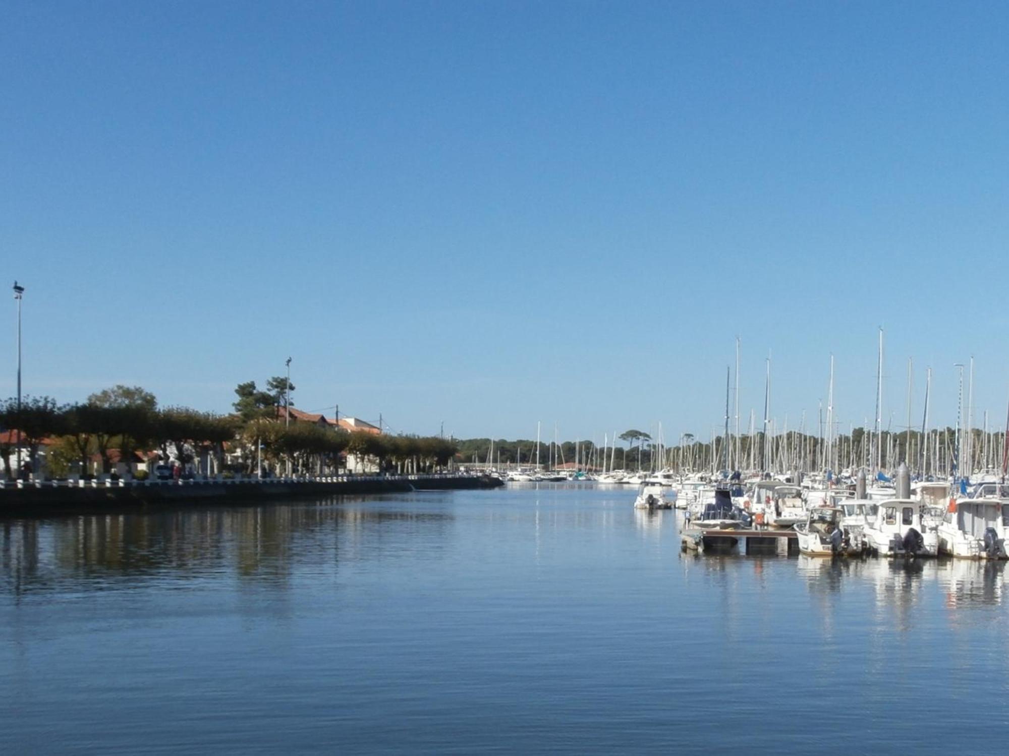 Charmant T3 De Standing A Capbreton, Jardin, 3 Chambres, Terrasse Couverte, Proche Port Et Plages - Fr-1-239-484 Luaran gambar